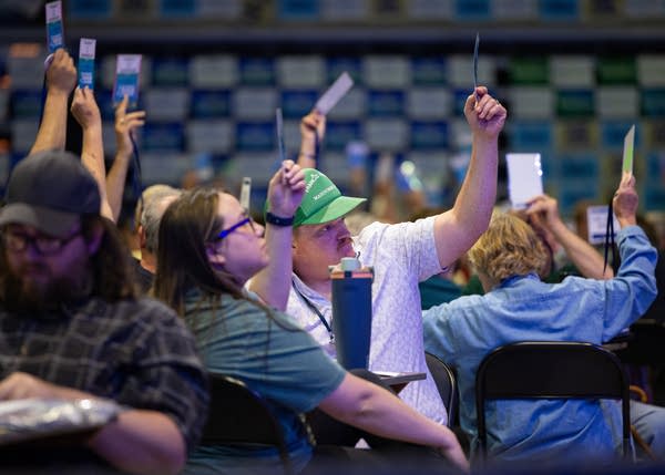 Delegates cast their votes