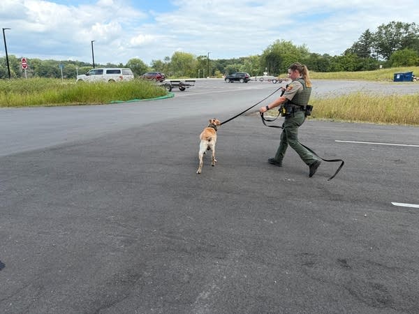 An officer and a dog walk through a parking lot.