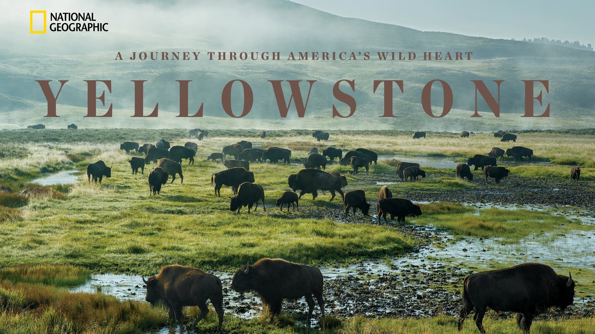 Йеллоустоун книга. Йеллоустоун книга. Постапокалипсис йеллоустоун книги. Йеллоустоун книга. Кевин костнер йеллоустоун.