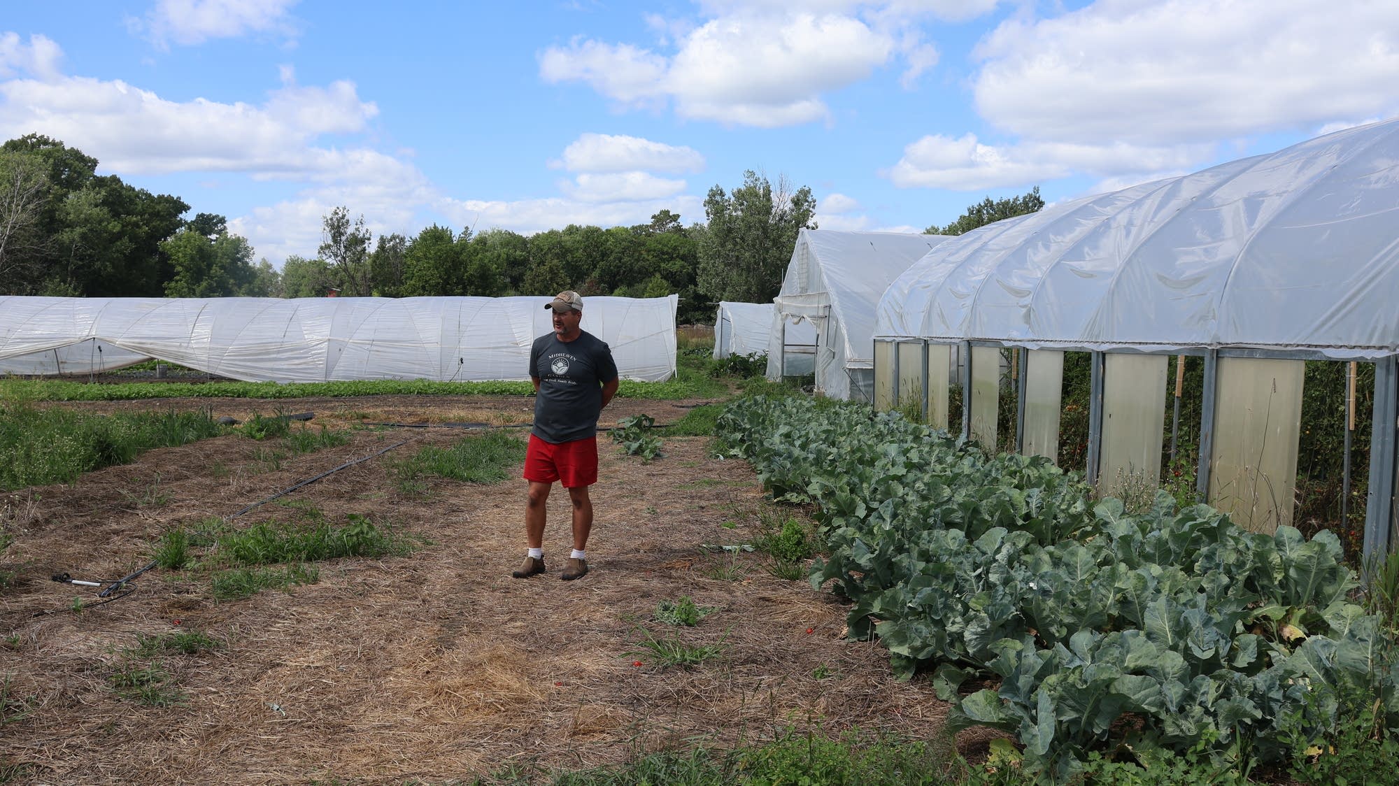 As Minnesota gets warmer and wetter, what does that mean for…
