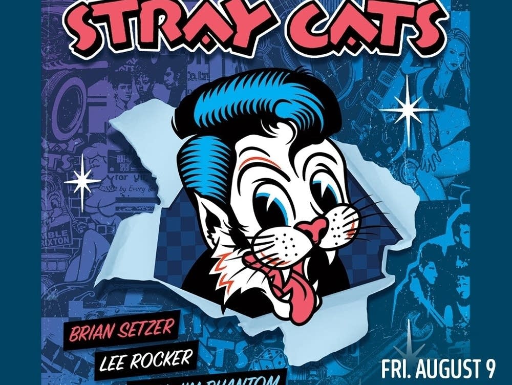 4c1e5a-20240326-stray-cats-