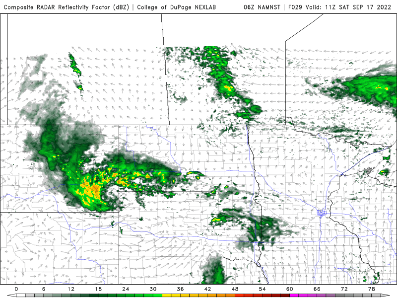 sat precip