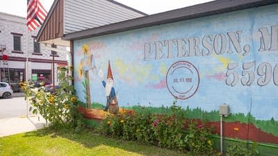 Colorful gnomes is seen