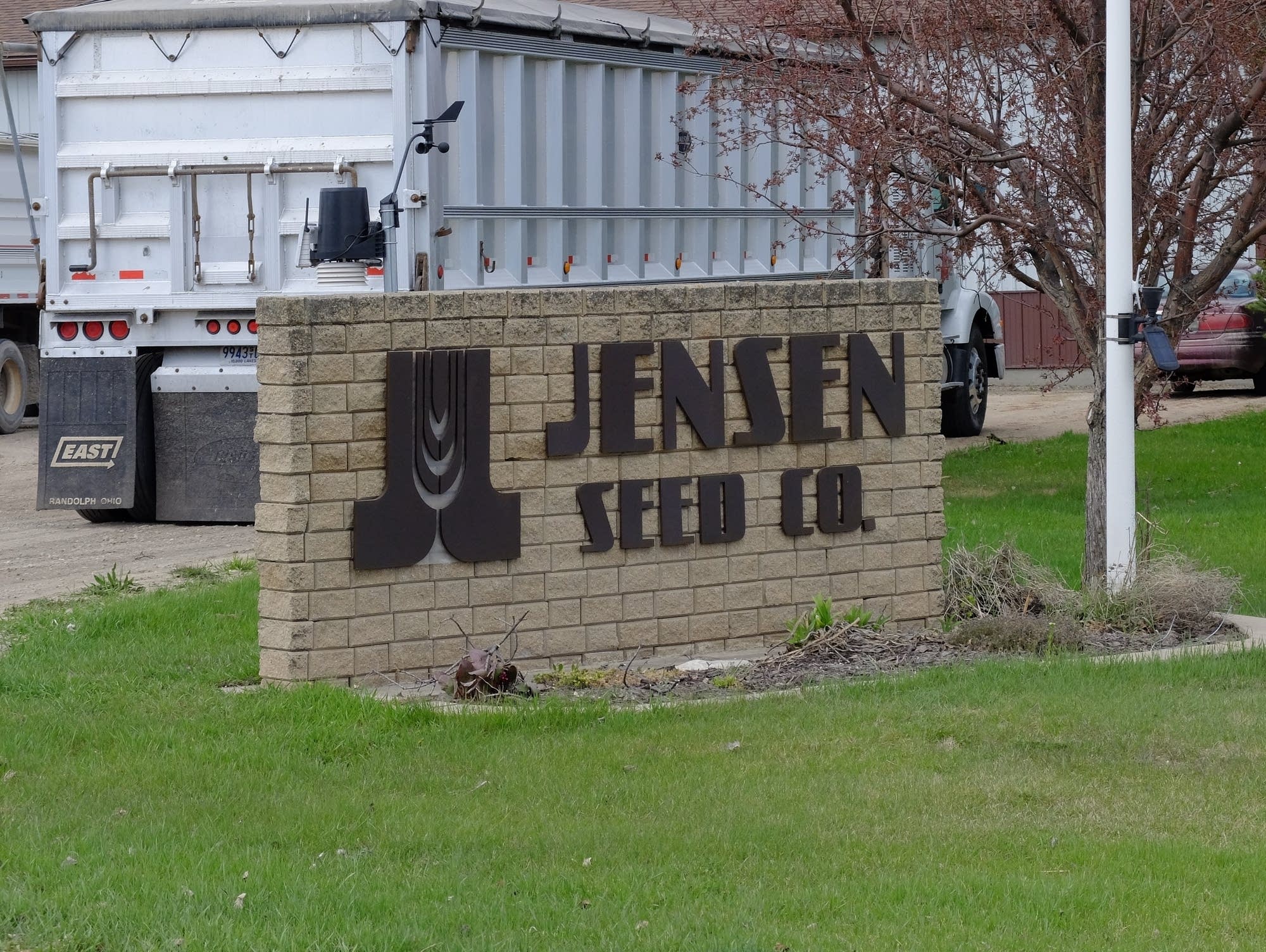The Jensens grow several varieties of wheat on their farm.