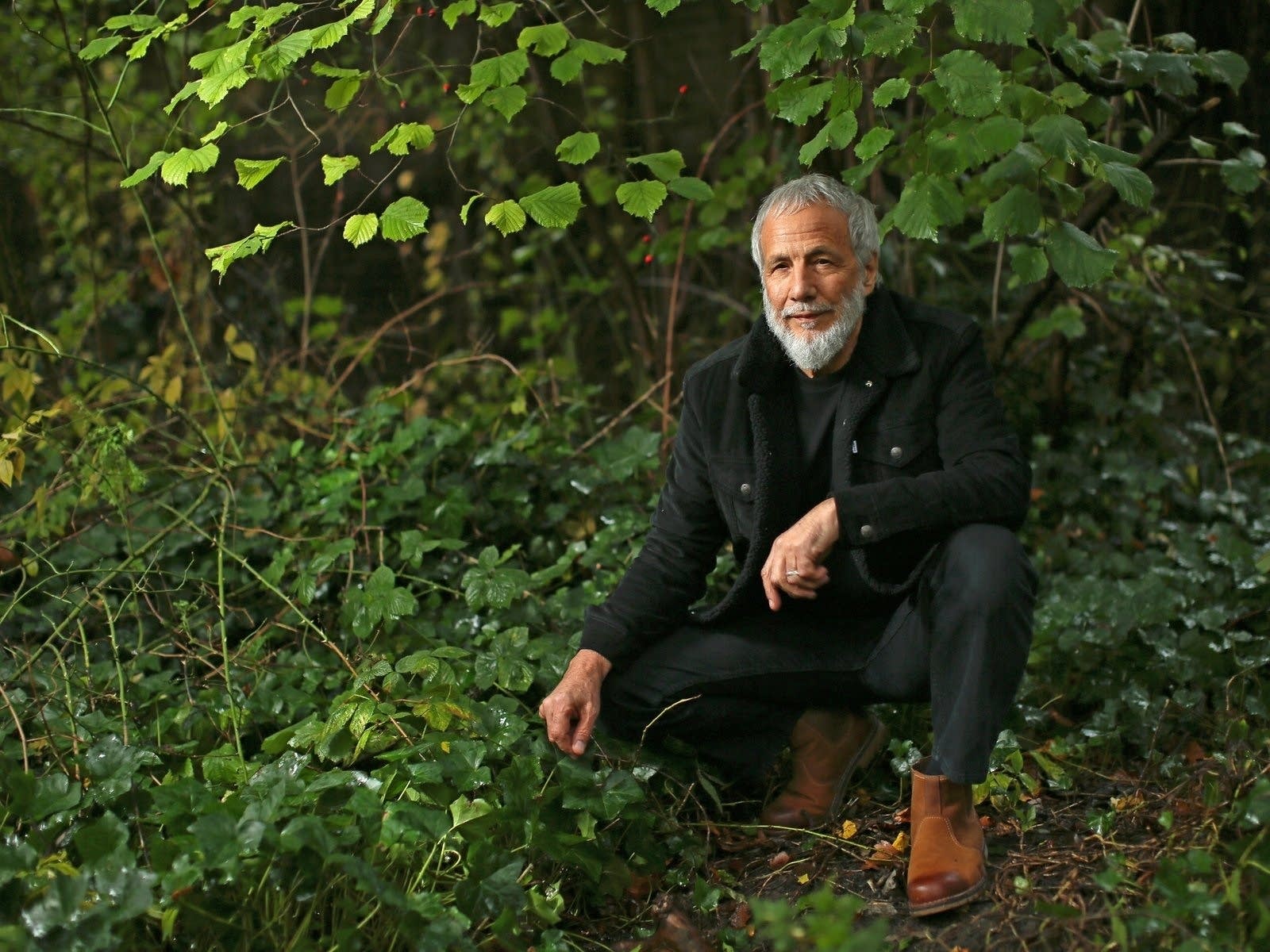 Yusuf revisits 'Tea For The Tillerman,' his landmark album as Cat Stevens