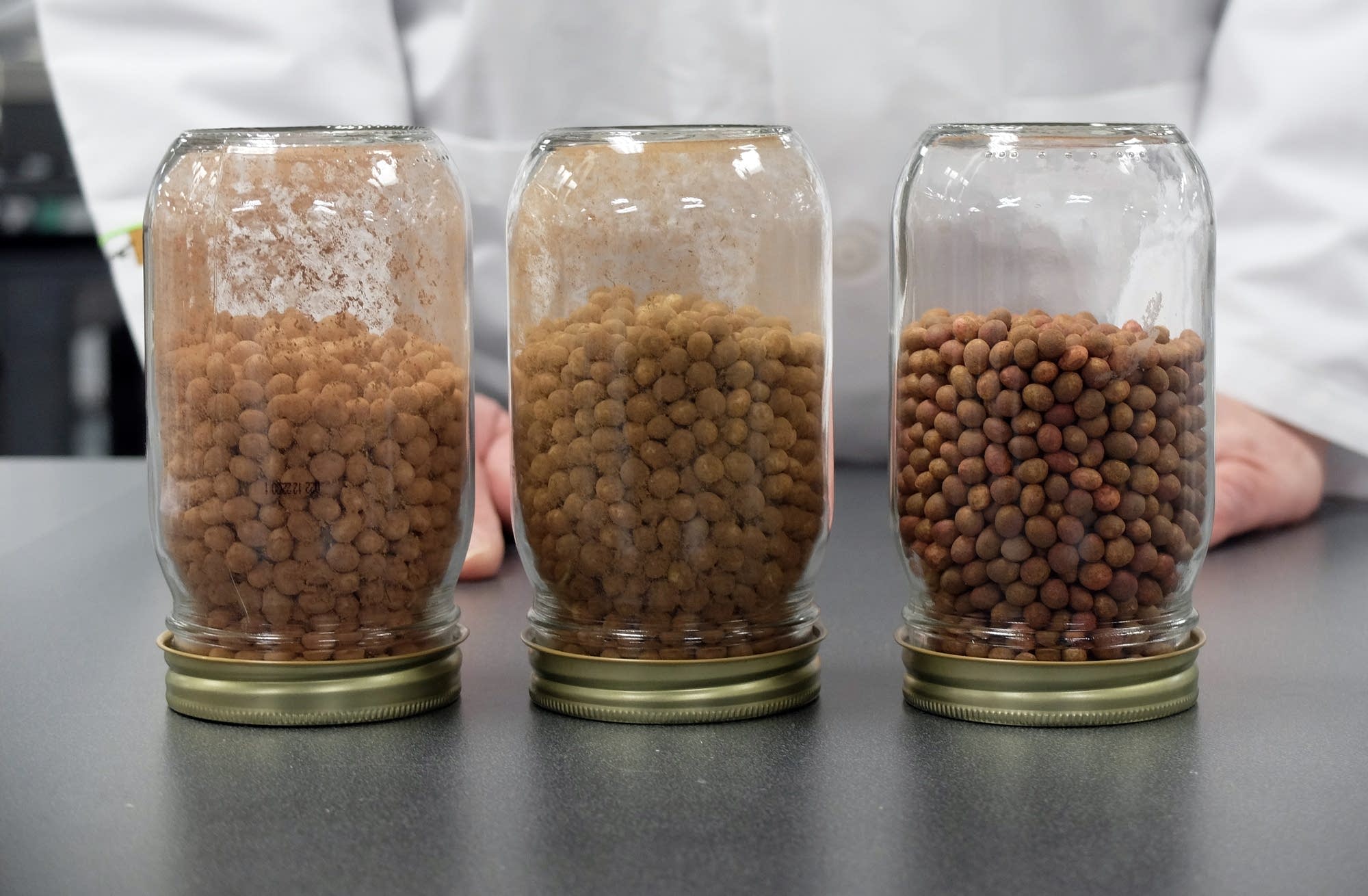 Examples of dust generated by different seed coatings.