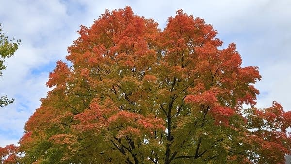 Mild temps Sunday into Tuesday; chilly end to October?