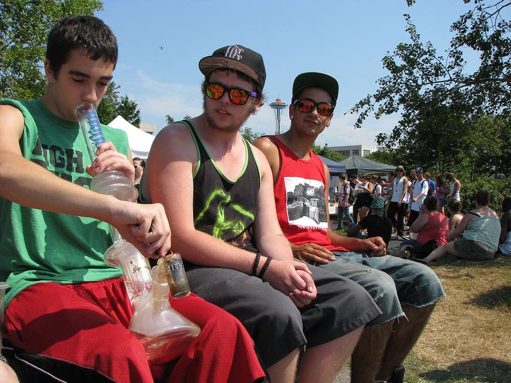 Hempfest attendees