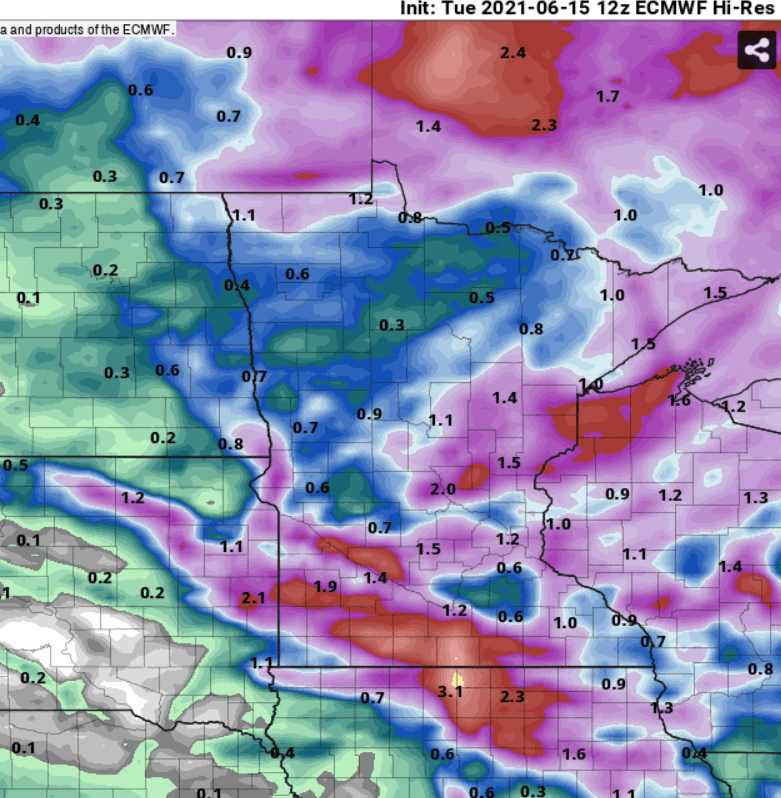 European model (ECMWF) precipitation output