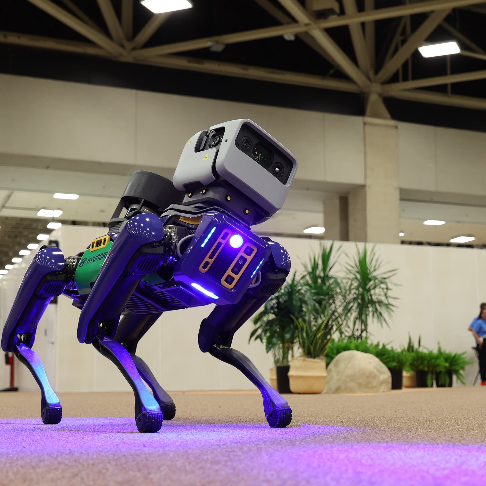 Why Boston Dynamics is deploying robot dogs at the World Cup