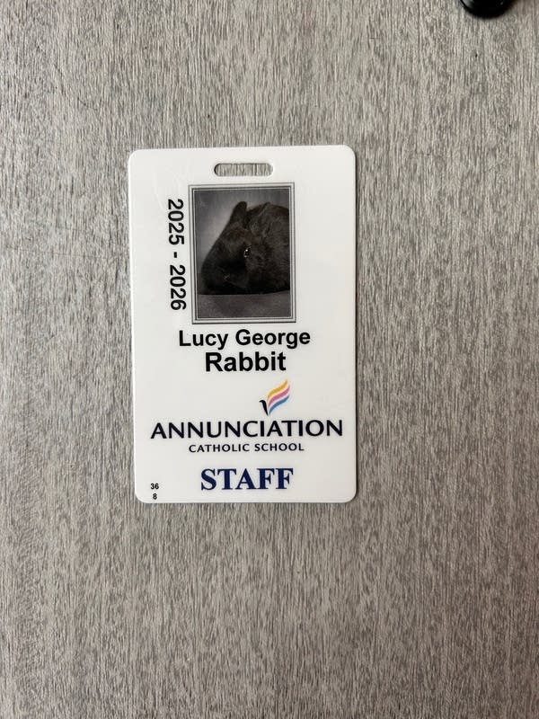 Staff badge with a bunny