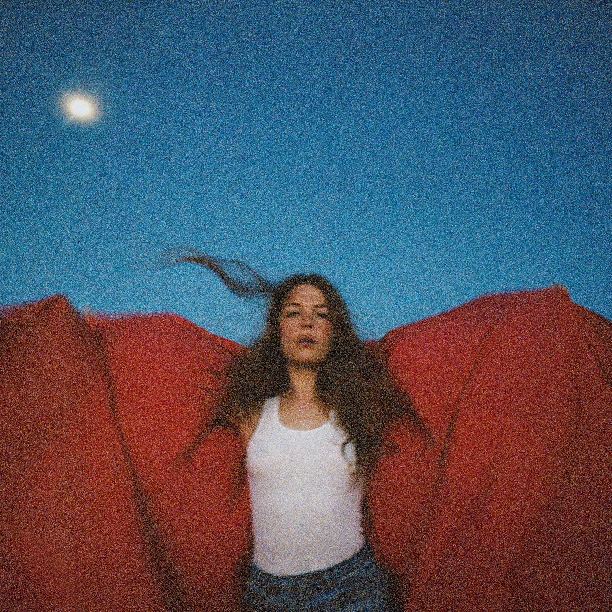 Maggie Rogers, 'Heard It in a Past Life'