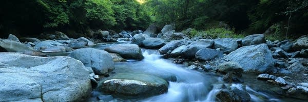 A flowing stream