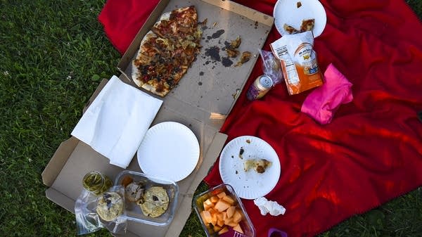 Leftover food on a picnic blanket