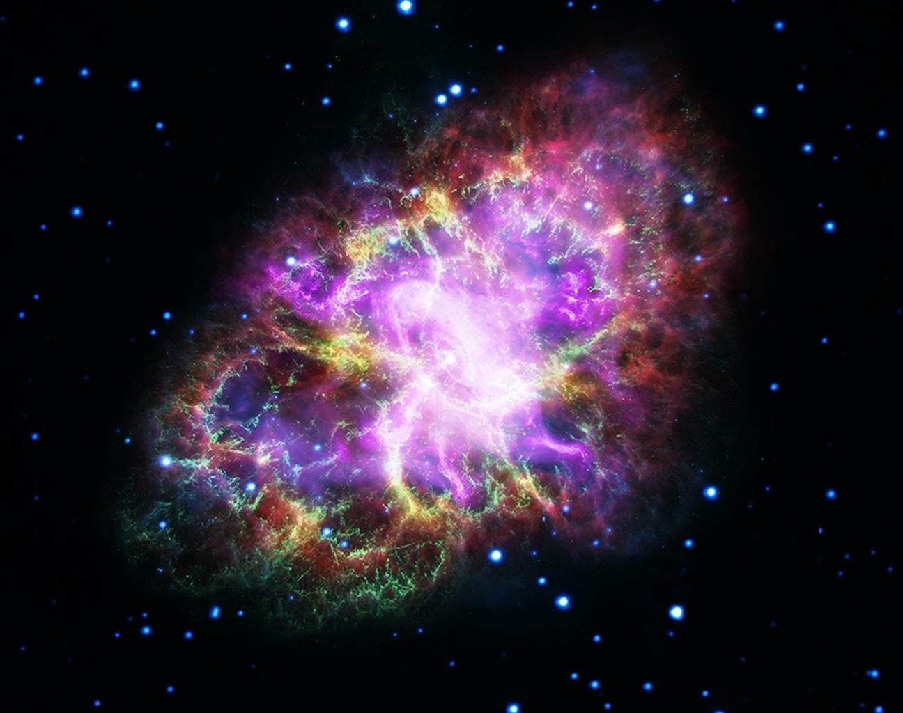 How are we related to stars? | Brains On