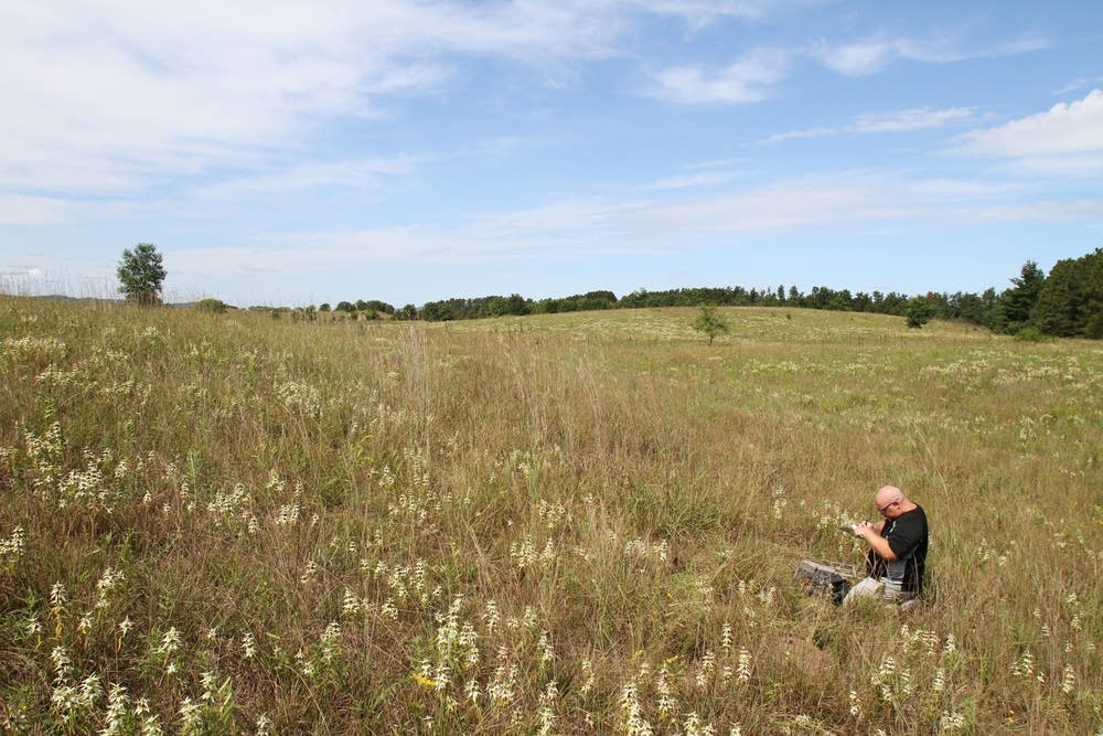 Jeff LeClere, a herpetologist with the DNR