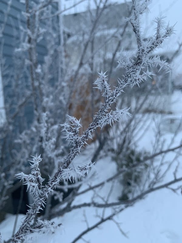 Milder weekend temps, areas of fog and a flurry/drizzle chance; Update on Monday's storm 