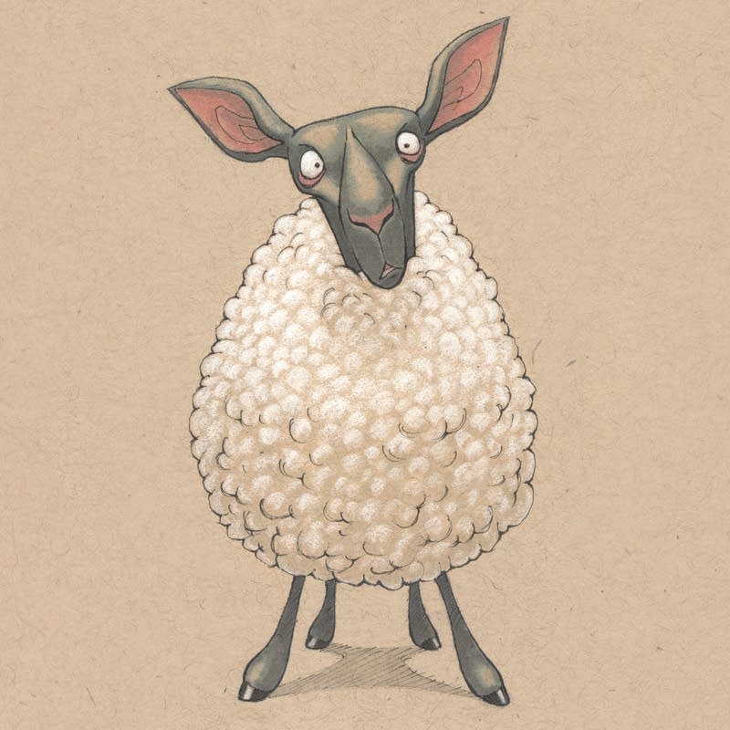 Scared sheepless