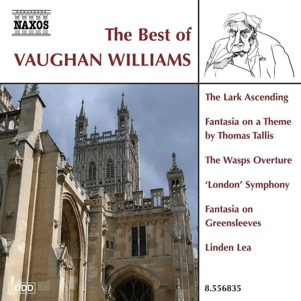 Ralph Vaughan Williams - The Lark Ascending