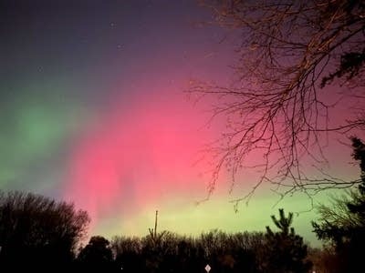 aurora in Maple Grove