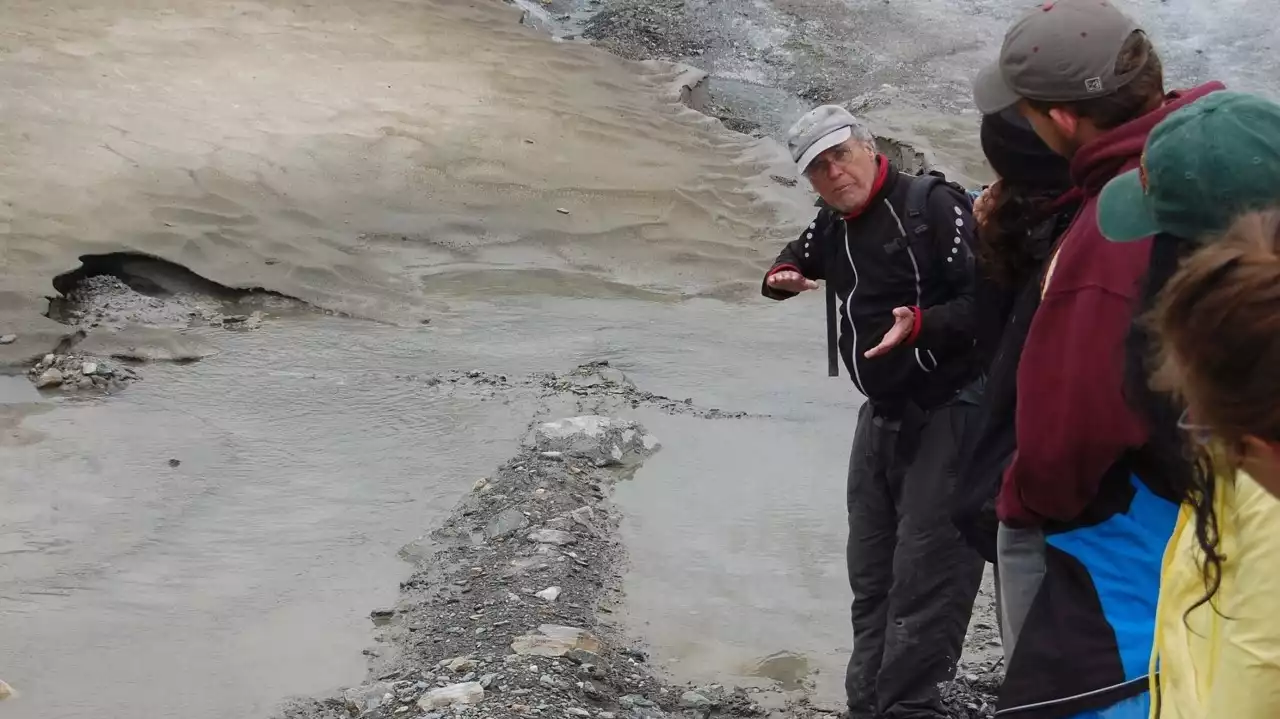 Why shark teeth are some of Minnesota's most common fossils MPR News