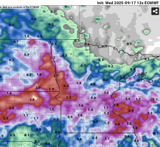 European (ECMWF) model precipitation output