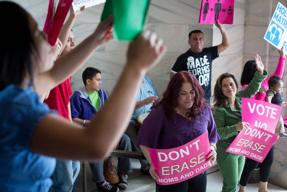 Same-sex marriage opponents