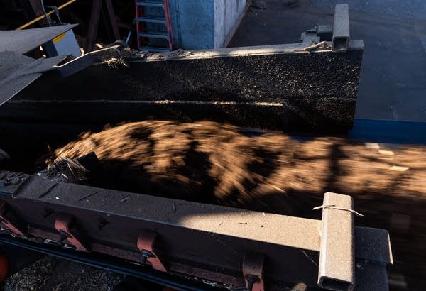 Wood chips move on a conveyor belt