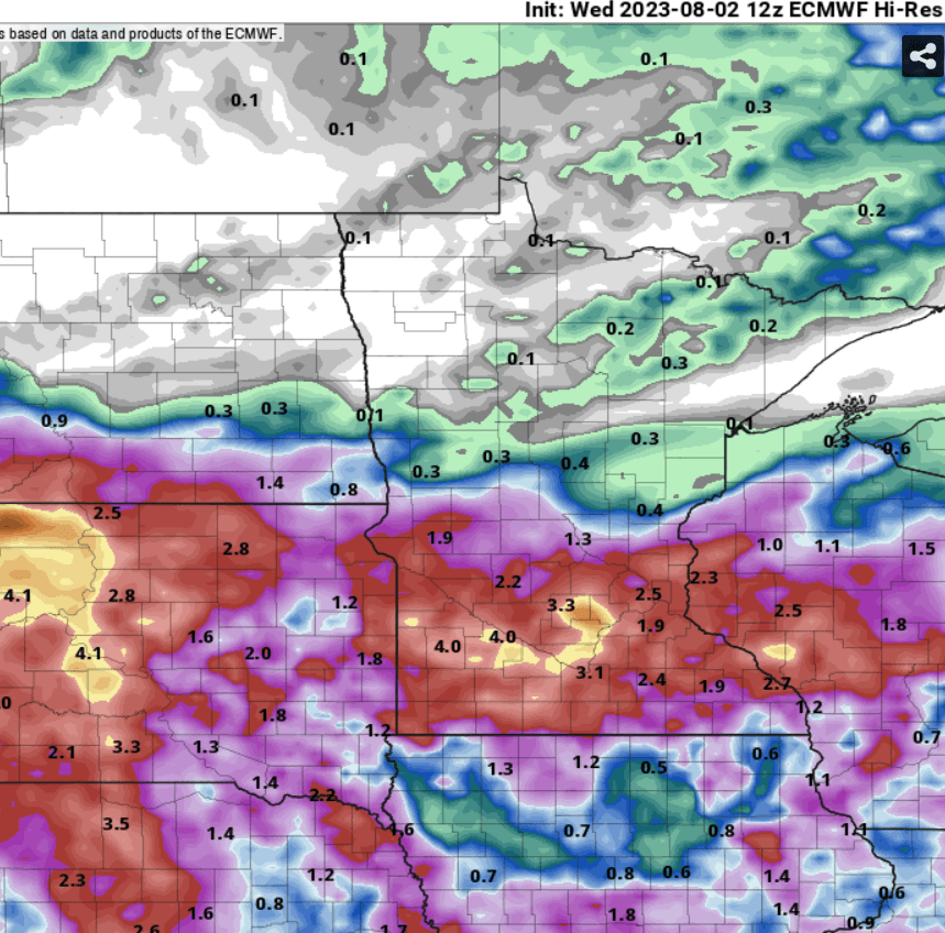 European model (ECMWF) precipitation output