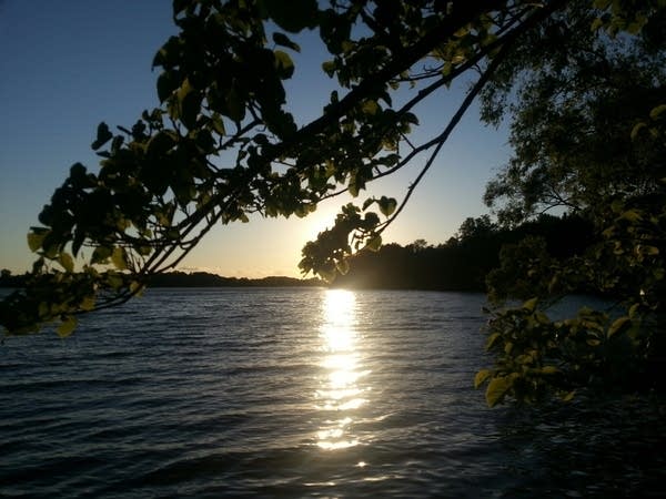 Coffee Break: Summer Solstice