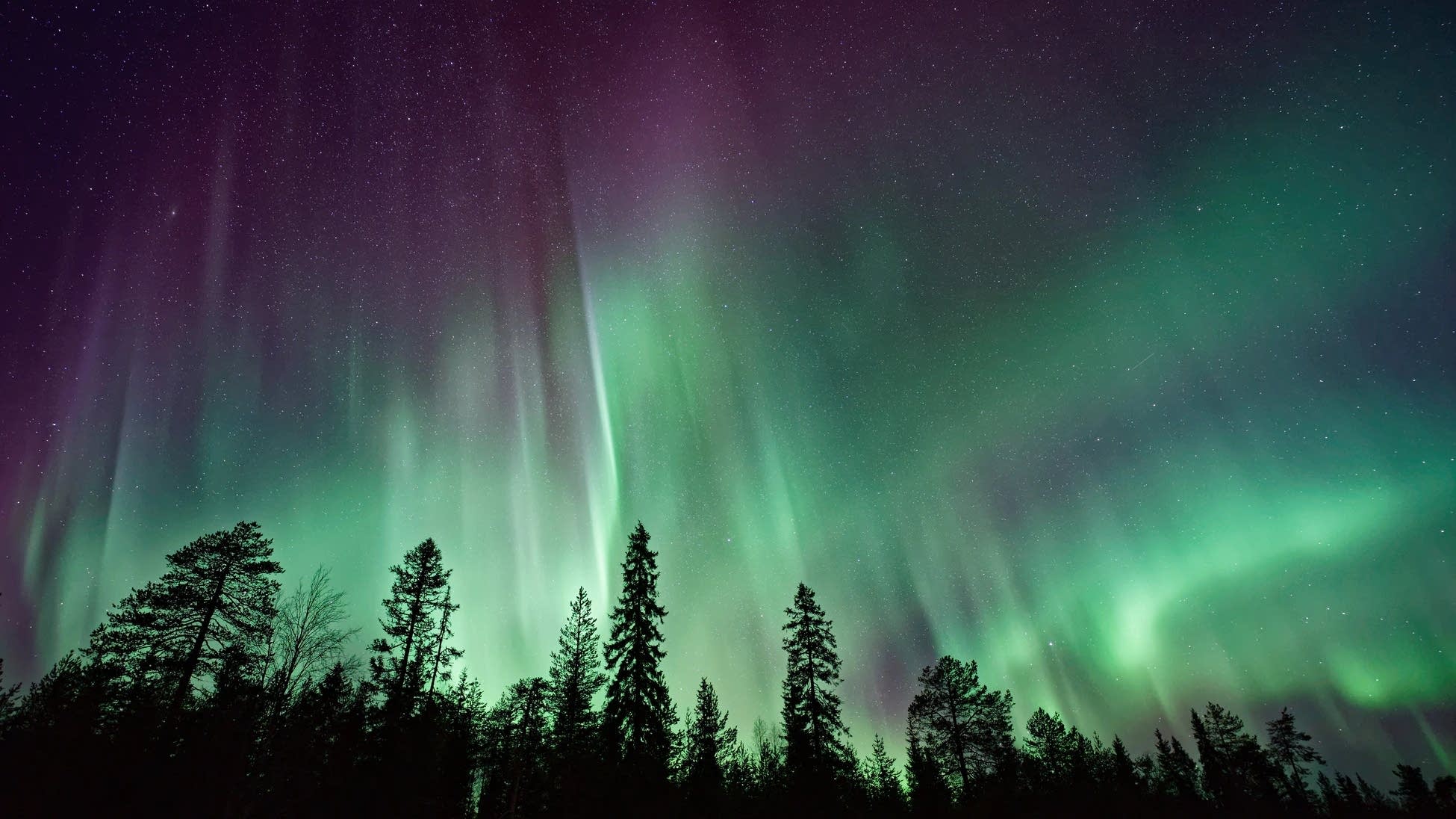 The Aurora Borlealis.