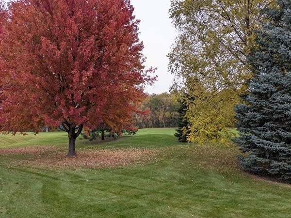 Soggy Halloween gives way to a gradually nicer weekend