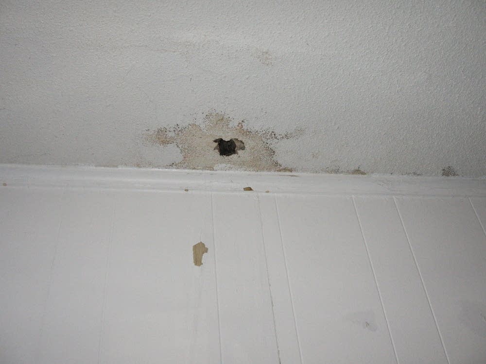 Water leak