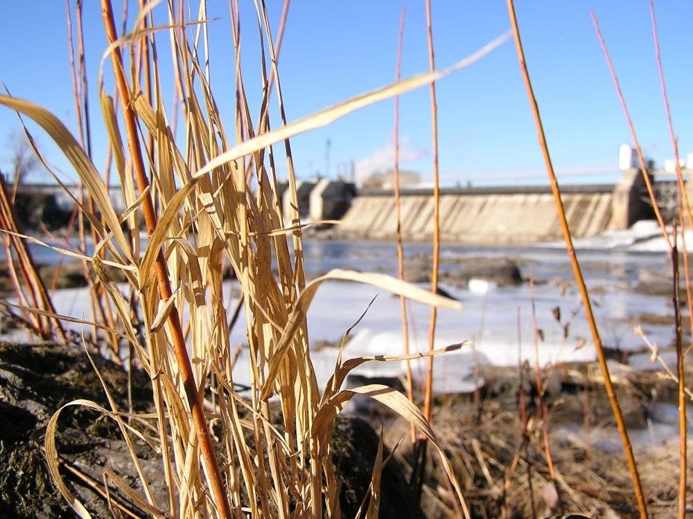 Grass growing where the river should be flowing
