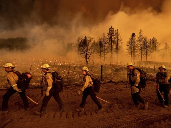 Wildfires burn in a California forest