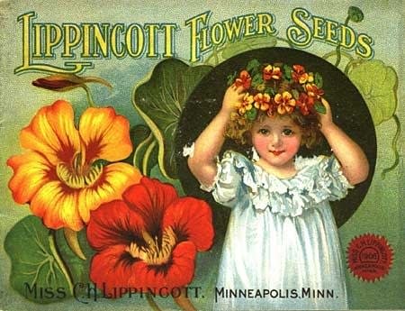 Blooms from years gone by