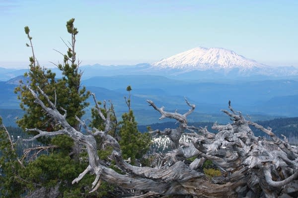 Mount St. Helens