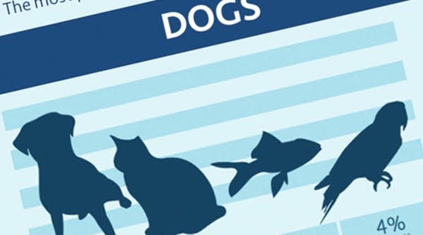 Behind the Data: Pet ownership by income bracket