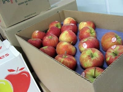 Minnesota-grown apples