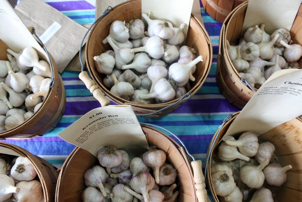 Crowds embark on culinary adventure at Garlic Festival Minnesota