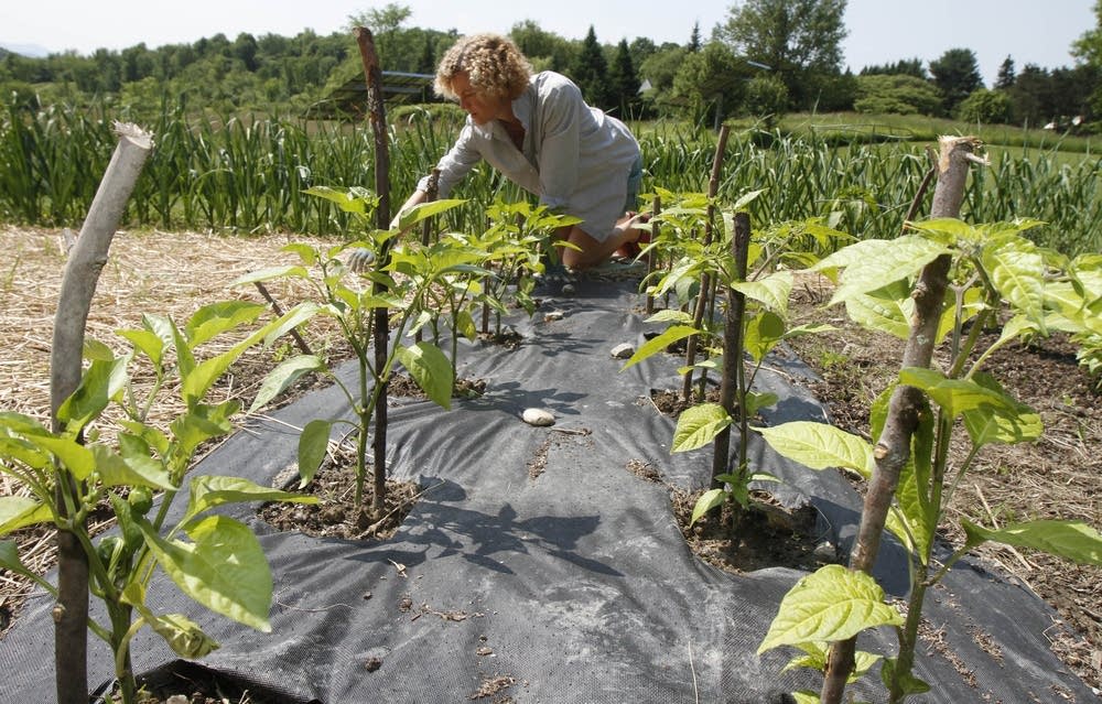 Gardening
