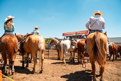Wranglers on their mounts in a paddock at a rodeo event