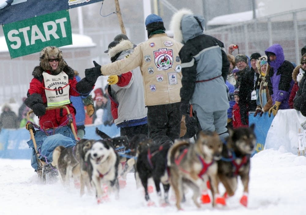 Beargrease start