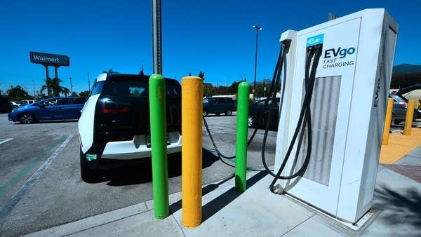 It's going to be a bad year for electric cars, but it will be a worse one for regular, combustion engine cars.