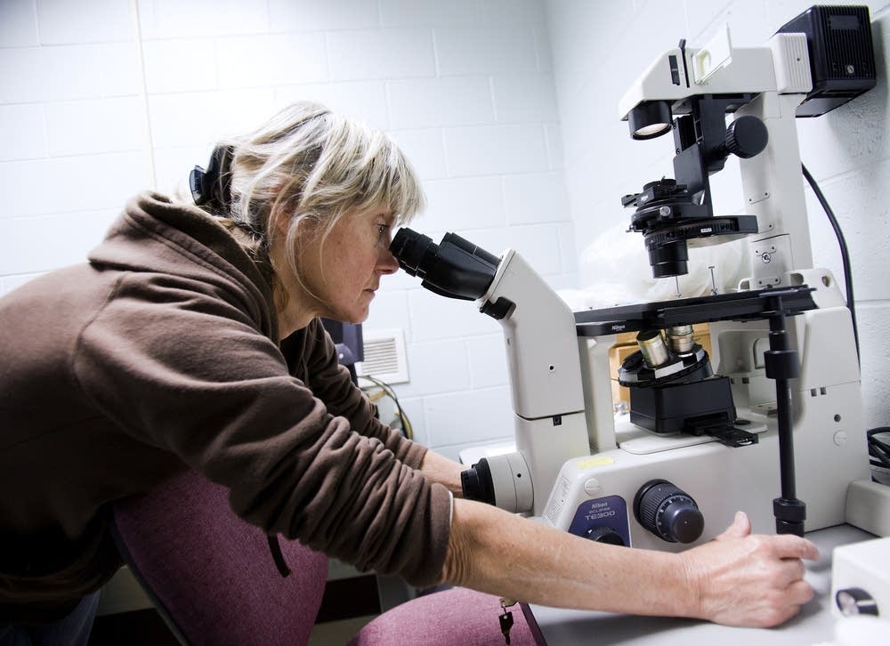 Examining samples