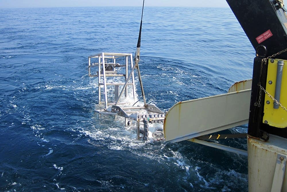 Seahorse mapping system
