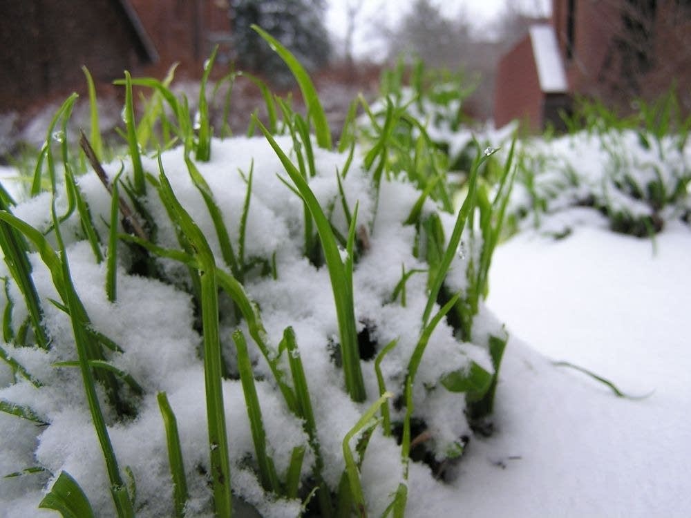 Signs of spring and winter