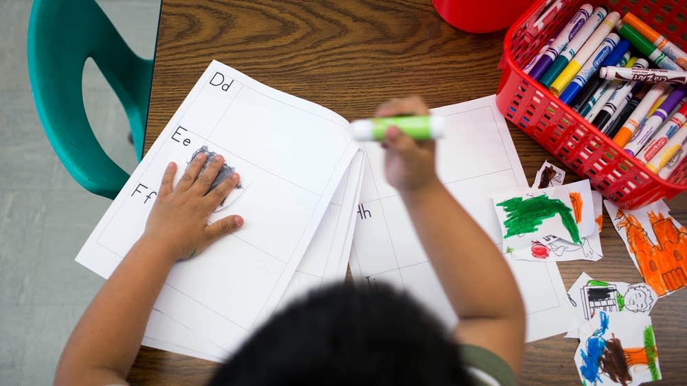 What to know about St. Paul's 2024 early childhood education ballot question - Vimarsana News