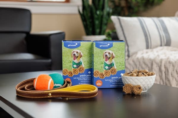 Dog Girl Scout Cookies