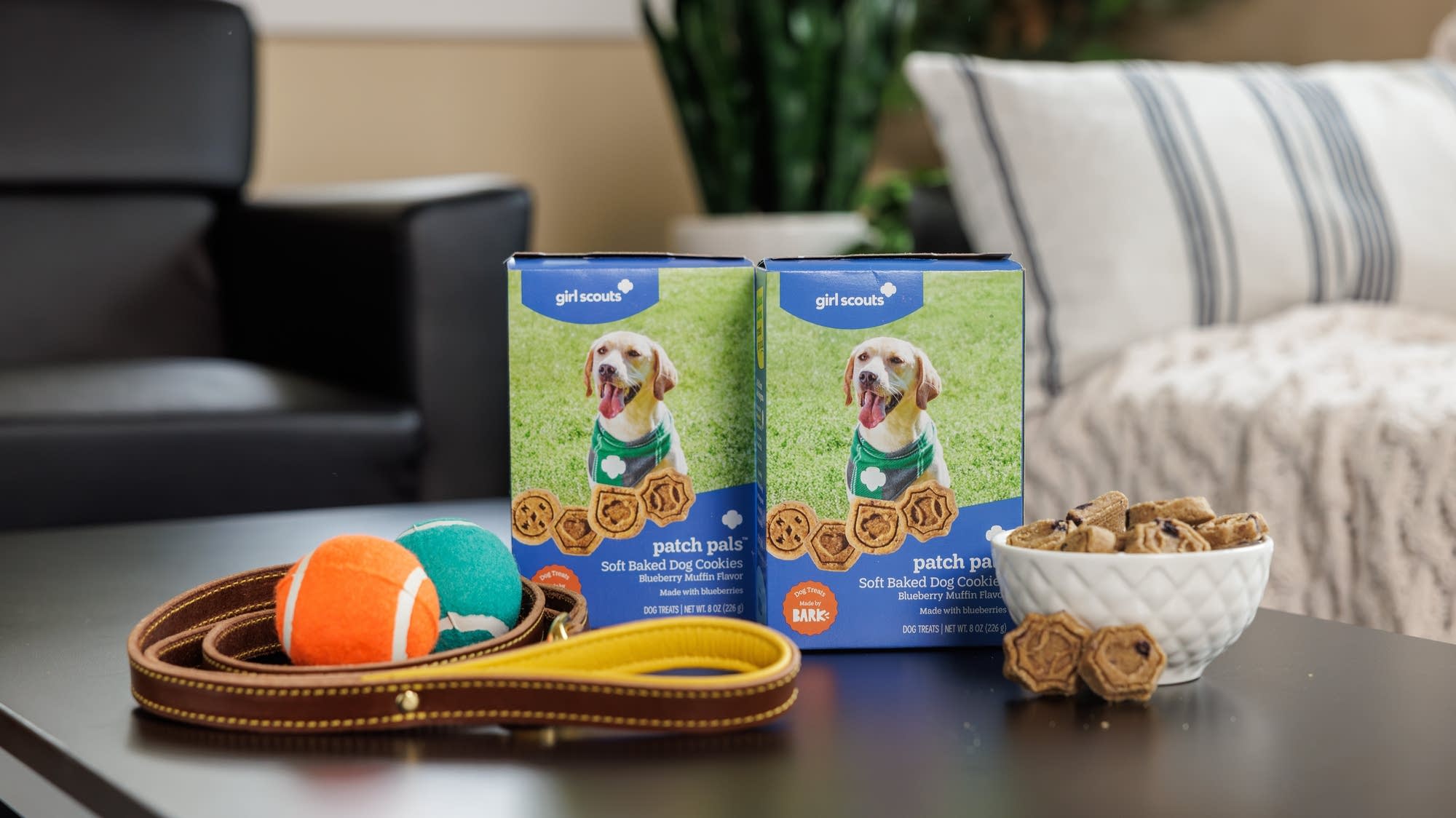 Girl Scouts' first cookies for dogs will go on sale in January